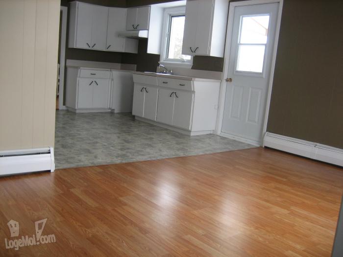 Appartement à Louer 4 ½ , 2 CAC SaintLucdeBellechasse