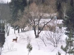 Pour agrandir d'avantage, veuillez chosir la photo à gauche et revenir sur cette image, une plus grande photo appraîtra Pour agrandir d'avantage, veuillez chosir la photo à gauche et revenir sur cette image, une plus grande photo appraîtra